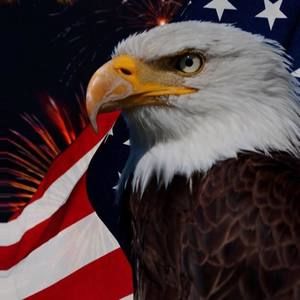 Meet your Posher, Patton